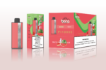 Bang PI10K puffs Vape Disposable Electronic Cigarette