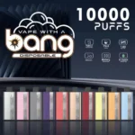 Bang PI10K puffs Vape Disposable Electronic Cigarette