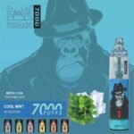 RandM Tornado 7000 Puffs Disposable Vape Kit 1000mAh