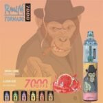 RandM Tornado 7000 Puffs Disposable Vape Kit 1000mAh