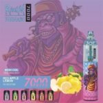 RandM Tornado 7000 Puffs Disposable Vape Kit 1000mAh